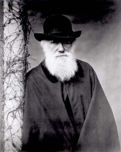 Portrait of Charles Darwin, 1881 by English Photographer